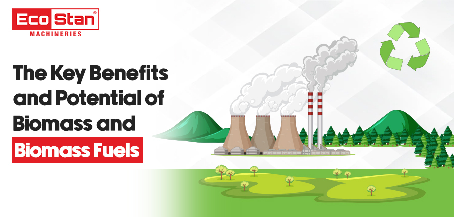 Benefits and Potential of Biomass and Biomass Fuels