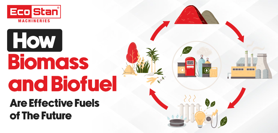 Biomass and Biofuel fuels